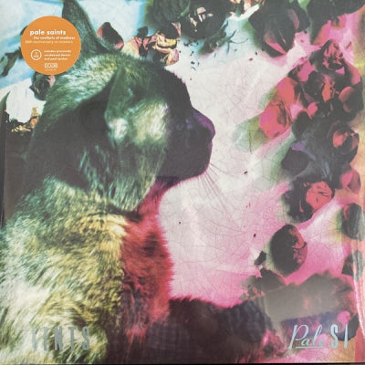 PALE SAINTS - The Comforts Of Madness 30th Anniversary Re:Masters