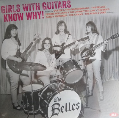 VARIOUS - Girls With Guitars Know Why!