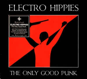 ELECTRO HIPPIES - The Only Good Punk