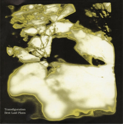 TRANSFIGURATION - Best Laid Plans