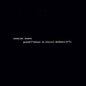 VENETIAN SNARES - printf<"shiver in eternal darkness/n">;