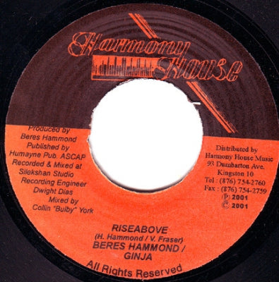 BERES HAMMOND & GINJA - Rise Above / Rise Above Rhythm
