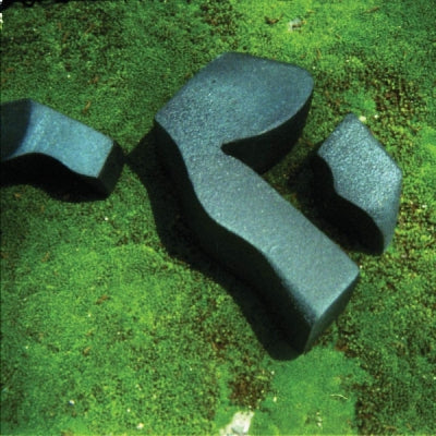 CAMILA FUCHS  - Heart Pressed Between Stones