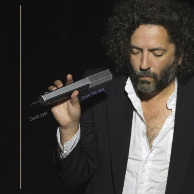 DESTROYER - Have We Met