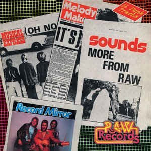 VARIOUS ARTISTS - Oh No It's More From Raw