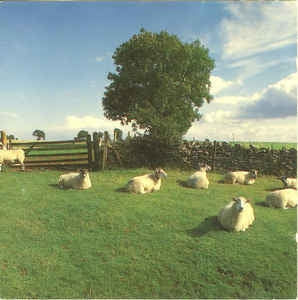 THE KLF - Chill Out