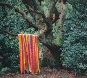 JAMES HOLDEN & THE ANIMAL SPIRITS - The Animal Spirits