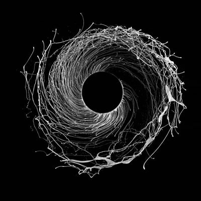 DAWN OF MIDI - Dysnomia
