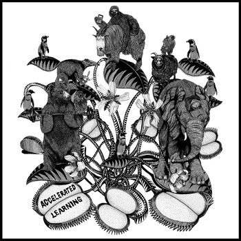 TRUCKERS OF HUSK - Accelerated Learning