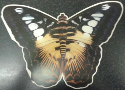 BARCLAY JAMES HARVEST - Stand Up