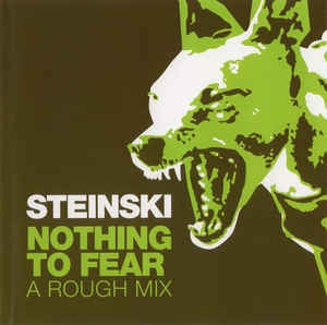 STEINSKI - Nothing To Fear: A Rough Mix