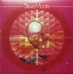 STEVE MOORE - Primitive Neural Pathways / Vaalbara