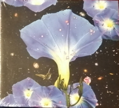 SARAH LOUISE - Nighttime Birds And Morning Stars