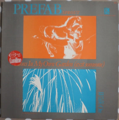 PREFAB SPROUT - Lions In My Own Garden