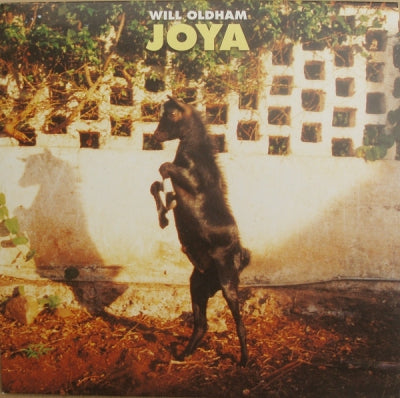 WILL OLDHAM - Joya