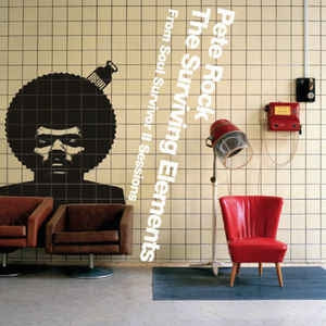 PETE ROCK - The Surviving Elements