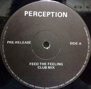 PERCEPTION - Feed The Feeling