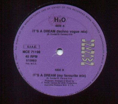 H2O - It's A Dream