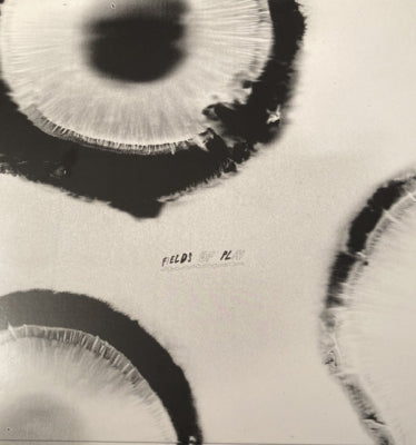 ANATTA - Fields Of Play