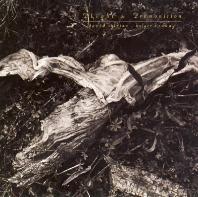 DAVID SYLVIAN & HOLGER CZUKAY - Plight And Premonition