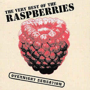 RASPBERRIES - The Very Best Of The Raspberries