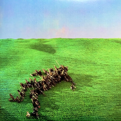 SQUID - Bright Green Field