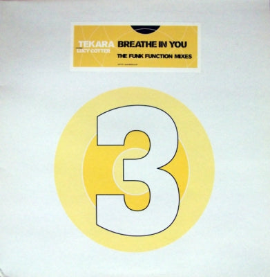 TEKARA FEATURING LUCY COTTER - Breathe In You (The Funk Function Mixes)