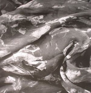 THE KVB - Of Desire
