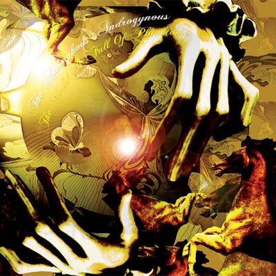 AMORPHOUS ANDROGYNOUS - The World Is Full Of Plankton