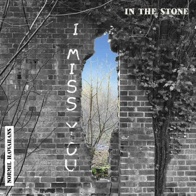 NORMIL HAWAIIANS - In The Stone / Where Is Living?