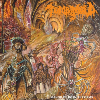 TOMB MOLD - Manor Of Infinite Forms