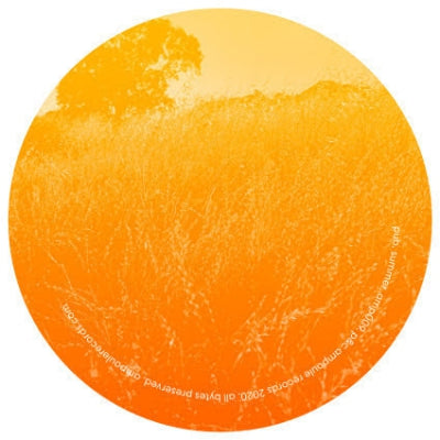 PUB - Summer