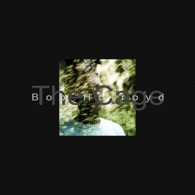 BOB HOLROYD - The Cage