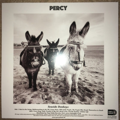 PERCY - Seaside Donkeys