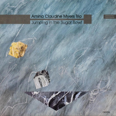 AMINA CLAUDINE MYERS TRIO - Jumping In The Sugar Bowl