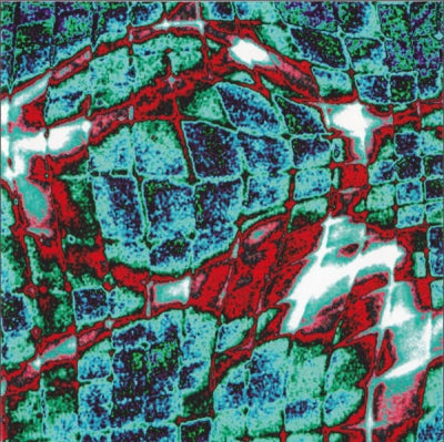 MARTIN ARCHER & SIMON H. FELL - Pure Water Construction