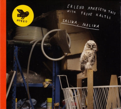 ERLEND APNESETH TRIO WITH FRODE HALTLI - Salika, Molika