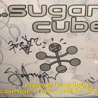 SUGARCUBES - Here Today, Tomorrow Next Week!