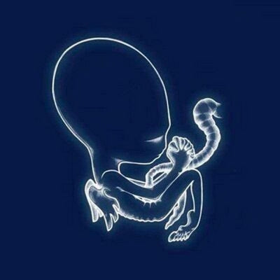 SIGUR ROS - Ágætis Byrjun