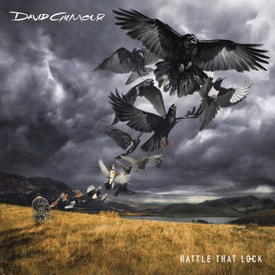 DAVID GILMOUR - Rattle that lock