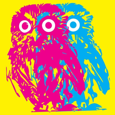 FEWER OWLS - Cinderslut