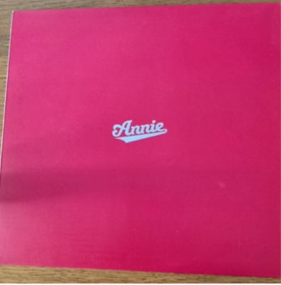 ANNIE - I Will Get On (Joshua Remixes)