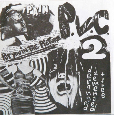 P.V.C. 2 - Put You In The Picture