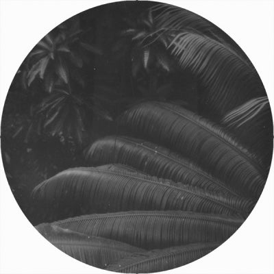 BEN KACZOR - Mind Fiction