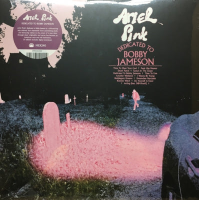 ARIEL PINK - Dedicated To Bobby Jameson