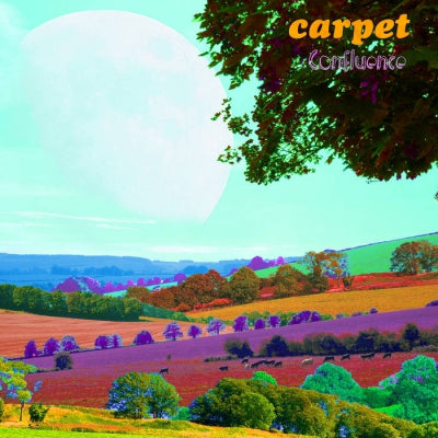 CARPET - Confluence