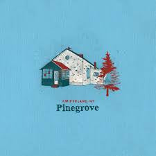 PINEGROVE - Amperland, NY