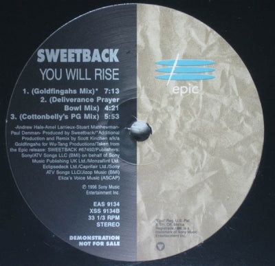 SWEETBACK - You Will Rise