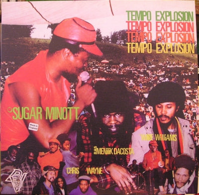 VARIOUS ARTISTS - Tempo Explosion