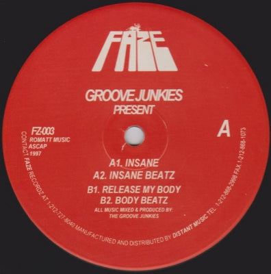 GROOVE JUNKIES - Insane